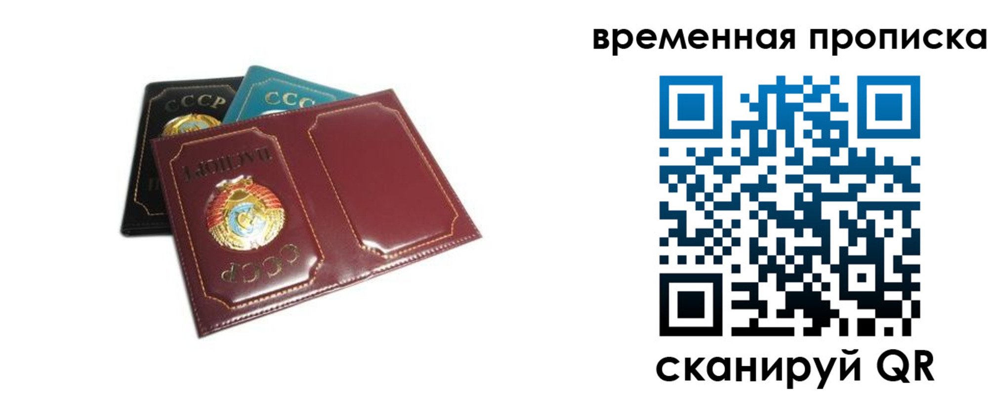 прописка 2025 в Покрове